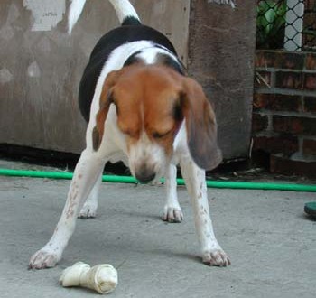 1380945972-2842901308