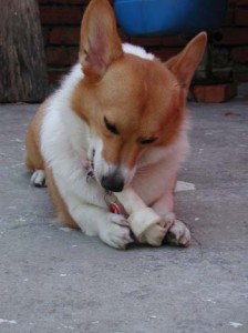 1380945973-1683560774