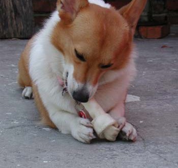 1380945973-1683560774