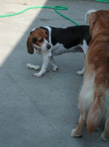 1380945973-1832675428