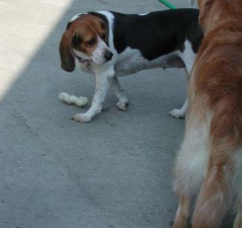 1380945973-1832675428