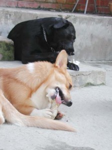 1380945974-2455824489