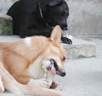 1380945974-2455824489