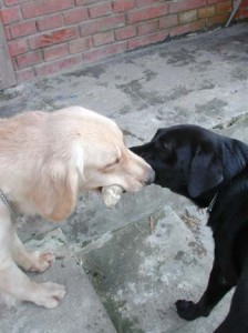 1380945974-3398451030