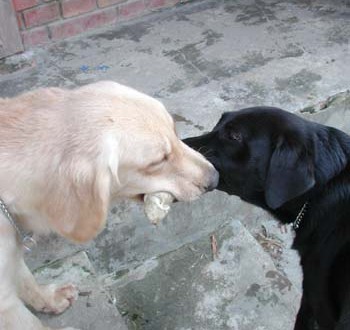 1380945974-3398451030