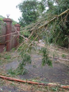 1380945978-3923687647