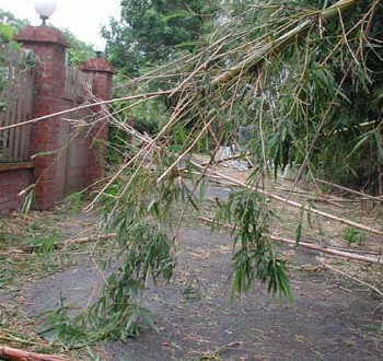 1380945978-3923687647