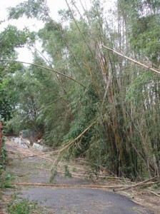 1380945978-4009782406