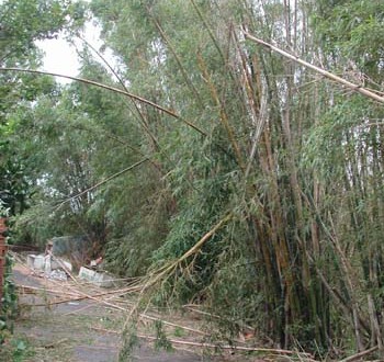 1380945978-4009782406