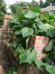 1380945979-506230532