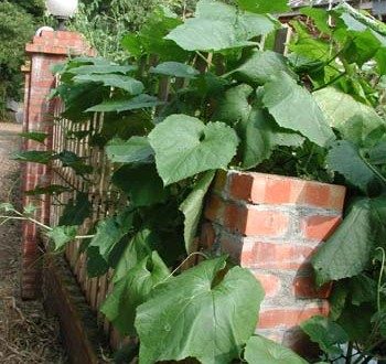 1380945979-506230532