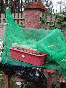 1380945980-1304007273