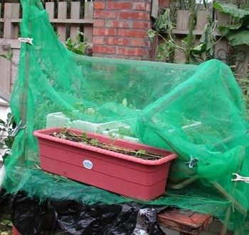 1380945980-1304007273