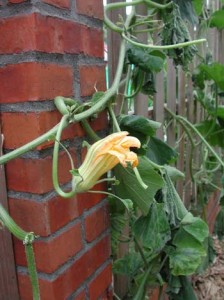 1380945980-1519846088