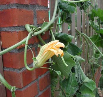 1380945980-1519846088