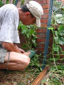 1380945981-3813186949