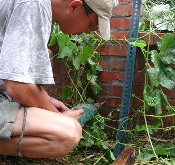 1380945981-3813186949