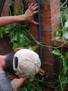 1380945981-3966022938