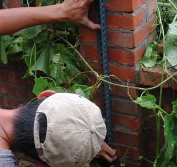 1380945981-3966022938