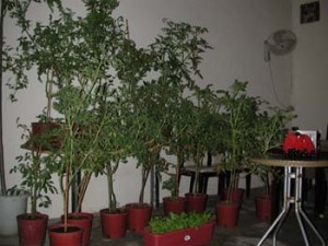 1380945984-3530094679