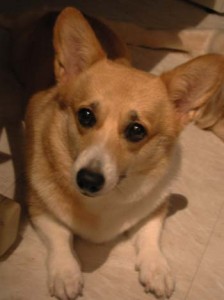 1380945986-128366855