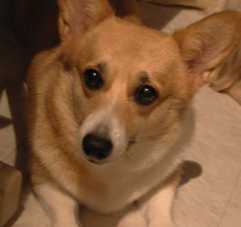 1380945986-128366855