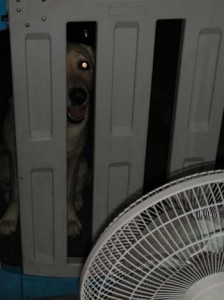 1380945987-2192433623