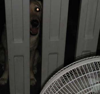 1380945987-2192433623