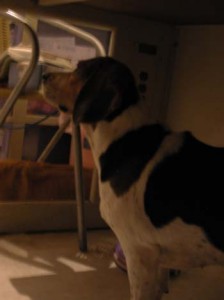 1380945987-3375357147