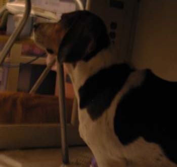 1380945987-3375357147