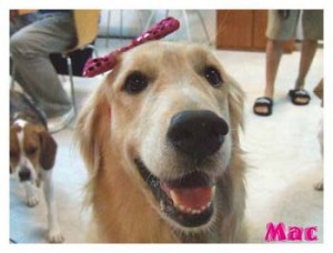 1380945990-1570795128