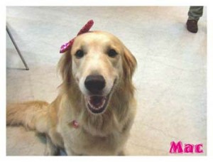 1380945990-3474316618