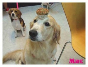 1380945991-1673479254