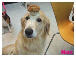 1380945991-2823403831