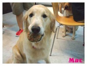 1380945992-2510255650