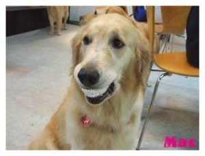 1380945992-904335193