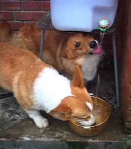 1380945993-3654053132