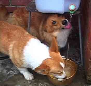 1380945993-3654053132