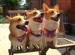 1380945994-3027580829