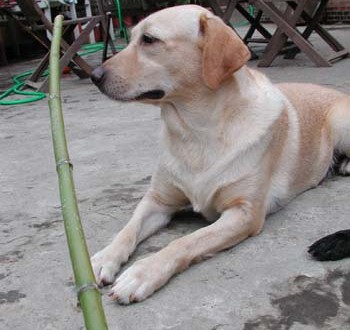 1380945995-2649566097