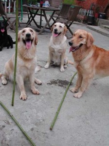 1380945996-1236440055