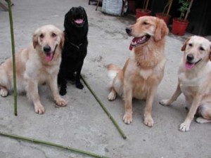 1380945996-3685705759