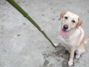 1380945996-565993651