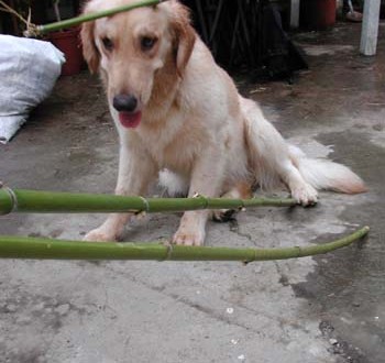 1380945997-2559708129