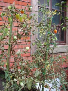 1380945998-1381623373