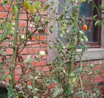 1380945998-1381623373