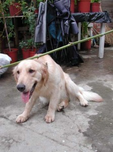 1380945998-3516591170