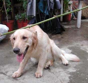 1380945998-3516591170