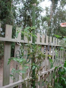 1380945998-802741499