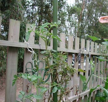 1380945998-802741499